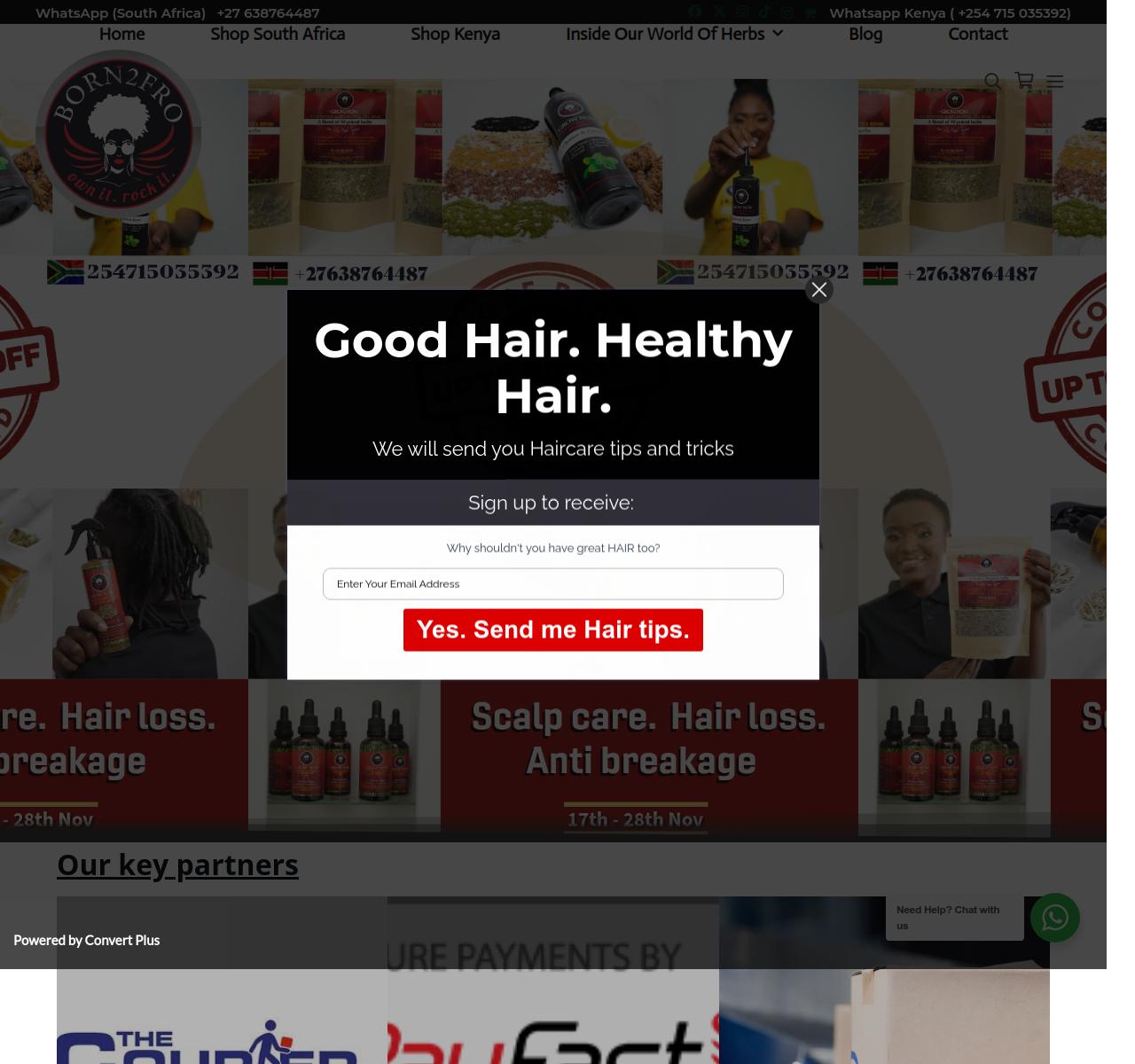 Screenshot of the Born2fro project